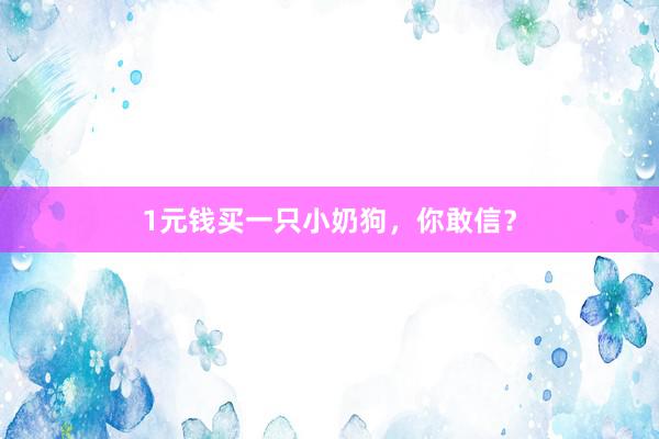 1元钱买一只小奶狗，你敢信？