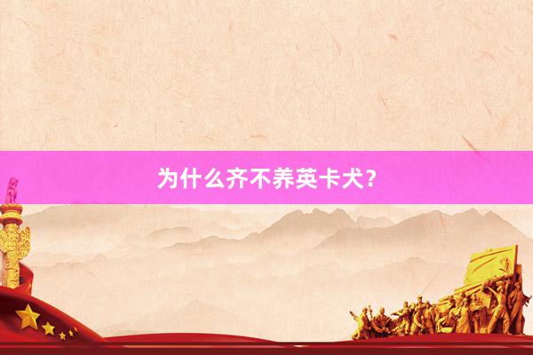 为什么齐不养英卡犬？